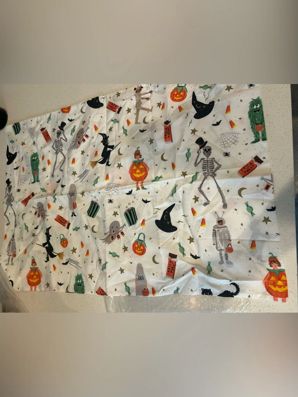 Pottery Barn Rifle Paper Co. Halloween Glow-in-the-Dark Pilowcase NWOT
